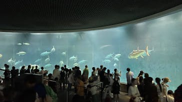 葛西臨海水族園に投稿された画像（2025/6/22）