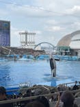 名古屋港水族館に投稿された画像（2025/6/22）
