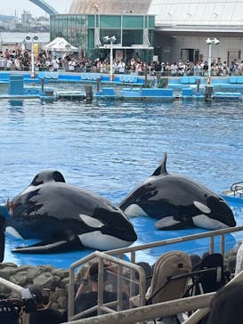 名古屋港水族館に投稿された画像（2025/6/22）