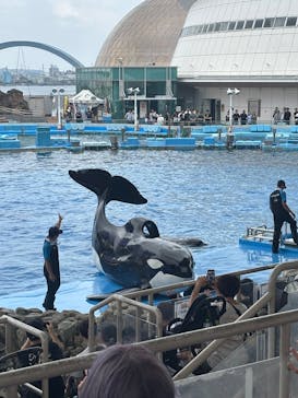 名古屋港水族館に投稿された画像（2025/6/22）