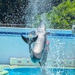 しながわ水族館に投稿された画像（2025/6/22）