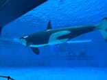 名古屋港水族館に投稿された画像（2025/6/22）
