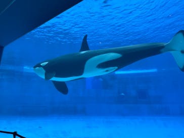 名古屋港水族館に投稿された画像（2025/6/22）
