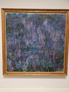 モネ 睡蓮のとき（豊田会場）に投稿された画像（2025/6/22）