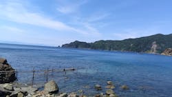 黄金崎ダイブセンターに投稿された画像（2025/6/22）