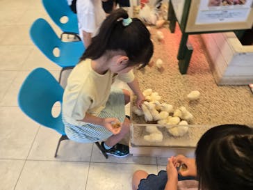 Moff animal world BIGHOPガーデンモール印西店に投稿された画像（2025/6/22）