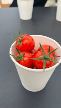 キノシタファームに投稿された画像（2025/6/22）