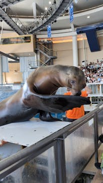アクアワールド茨城県大洗水族館に投稿された画像（2025/6/22）
