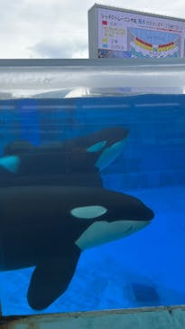 名古屋港水族館に投稿された画像（2025/6/22）