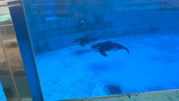 名古屋港水族館に投稿された画像（2025/6/22）