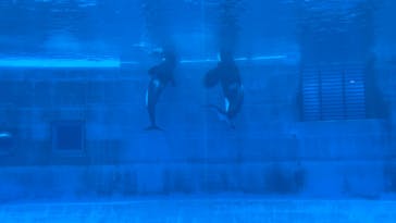 名古屋港水族館に投稿された画像（2025/6/22）