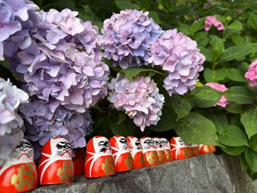 勝尾寺に投稿された画像（2025/6/22）