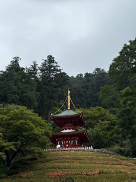 勝尾寺に投稿された画像（2025/6/22）