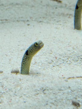 すみだ水族館に投稿された画像（2025/6/22）