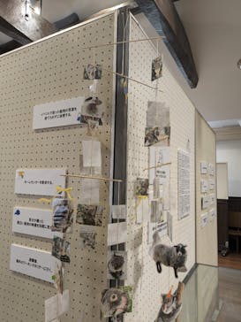 淡路ファームパーク イングランドの丘に投稿された画像（2025/6/22）