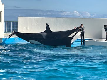 鴨川シーワールドに投稿された画像（2025/6/22）