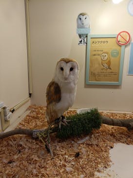 アニタッチららぽーと名古屋みなとアクルスに投稿された画像（2025/6/22）