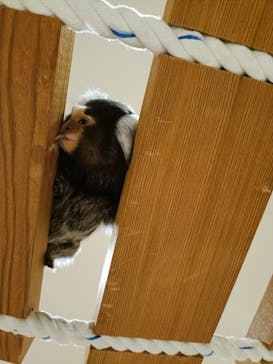 アニタッチららぽーと名古屋みなとアクルスに投稿された画像（2025/6/22）