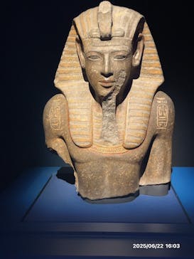 ACN ラムセス大王展 ファラオたちの黄金に投稿された画像（2025/6/22）