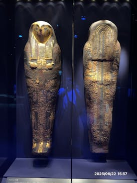ACN ラムセス大王展 ファラオたちの黄金に投稿された画像（2025/6/22）