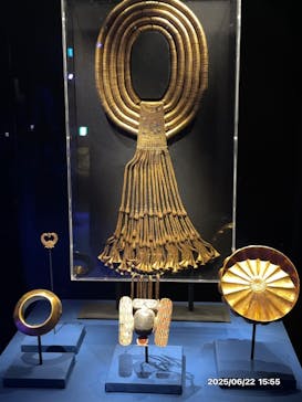 ACN ラムセス大王展 ファラオたちの黄金に投稿された画像（2025/6/22）