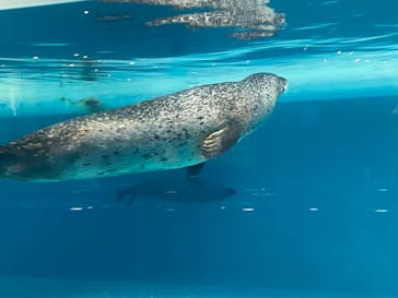 マリンワールド海の中道に投稿された画像（2025/6/22）