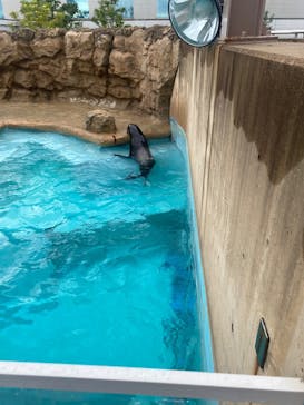 マリンワールド海の中道に投稿された画像（2025/6/22）