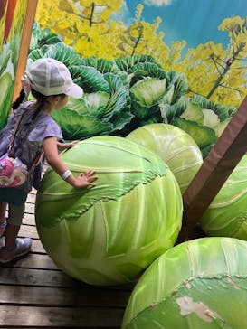 鈴鹿サーキットに投稿された画像（2025/6/22）