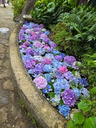 グラバー園に投稿された画像（2025/6/22）