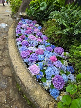 グラバー園に投稿された画像（2025/6/22）