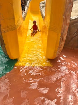 東京サマーランドに投稿された画像（2025/6/22）