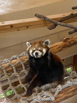 日立市かみね動物園に投稿された画像（2025/6/22）