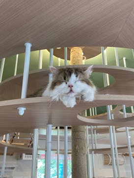 つくばわんわんランドに投稿された画像（2025/6/22）