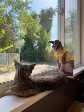 つくばわんわんランドに投稿された画像（2025/6/22）