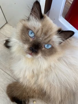 つくばわんわんランドに投稿された画像（2025/6/22）