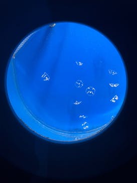 新江ノ島水族館に投稿された画像（2025/6/22）