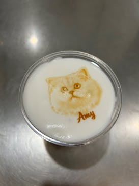 Cat Café MOFF 仙台PARCO店に投稿された画像（2025/6/22）