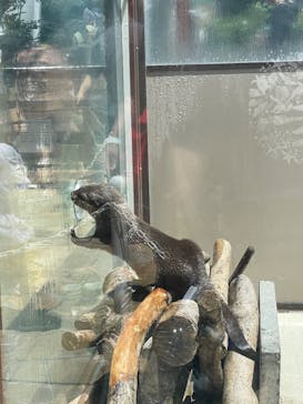 横浜・八景島シーパラダイスに投稿された画像（2025/6/22）