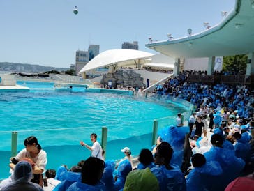 鴨川シーワールドに投稿された画像（2025/6/22）