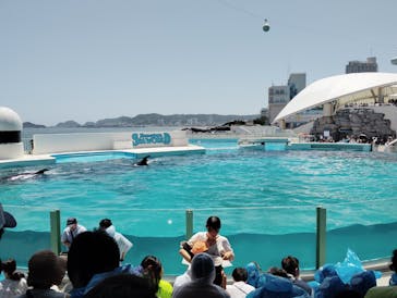 鴨川シーワールドに投稿された画像（2025/6/22）