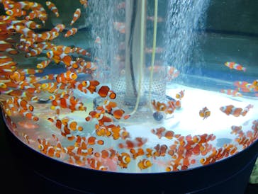 鴨川シーワールドに投稿された画像（2025/6/22）