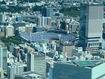 横浜ランドマークタワー 69階展望フロア スカイガーデンに投稿された画像（2025/6/22）