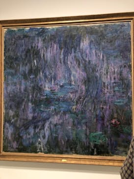 モネ 睡蓮のとき（豊田会場）に投稿された画像（2025/6/22）