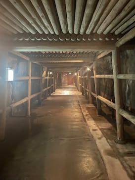 土肥金山に投稿された画像（2025/6/22）