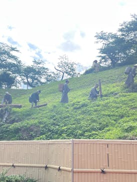 土肥金山に投稿された画像（2025/6/22）