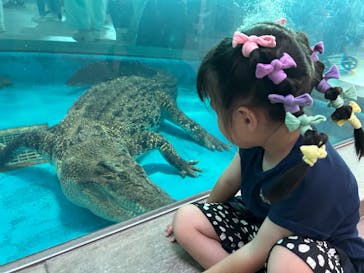 NIFREL（ニフレル）に投稿された画像（2025/6/22）