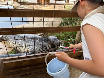 那須どうぶつ王国に投稿された画像（2025/6/22）