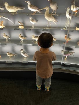 滋賀県立琵琶湖博物館に投稿された画像（2025/6/22）