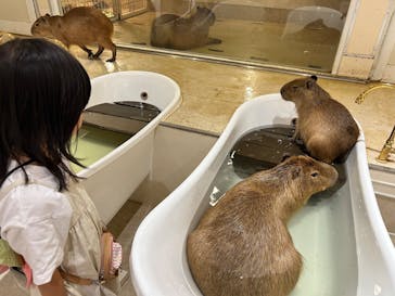 アニタッチららぽーと名古屋みなとアクルスに投稿された画像（2025/6/22）