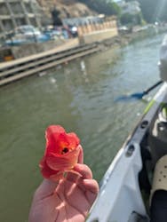 比謝川カヤックに投稿された画像（2025/6/23）